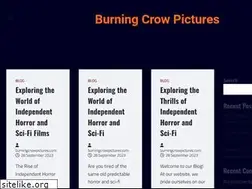 Sites similar to burningcrowpictures.com