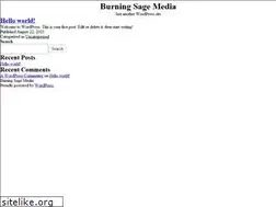 Sites similar to burningsagemedia.com