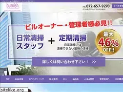 Sites similar to burnish-873.com