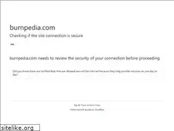 Sites similar to burnpedia.com