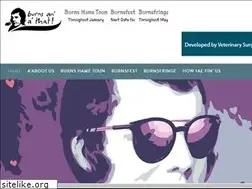 Sites similar to burnsfestival.com