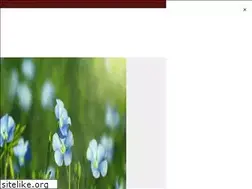 Sites similar to burntumberfashion.com