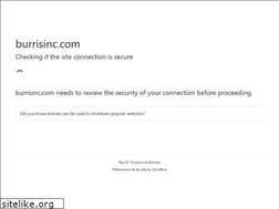Sites similar to burrisinc.com