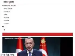 Sites similar to bursaanaliz.com