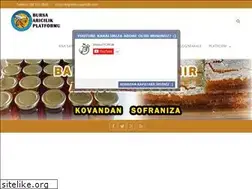 Sites similar to bursaaricilik.com