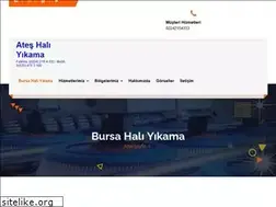 Sites similar to bursaateshaliyikama.com