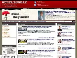Sites similar to bursabagimsiz.info.tr