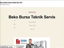 Sites similar to bursabekoservis.com