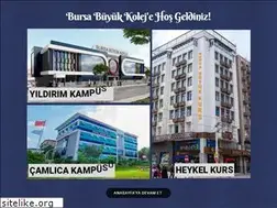 Sites similar to bursabuyukkolej.k12.tr