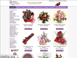 Sites similar to bursacicek.name.tr