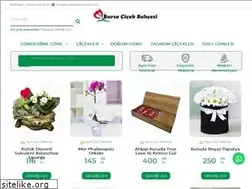 Sites similar to bursacicekbahcesi.com