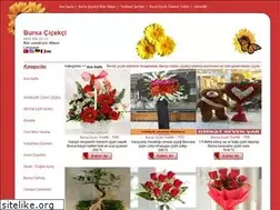 Sites similar to bursacicekcilik.com