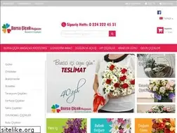 Sites similar to bursacicekmagazasi.com