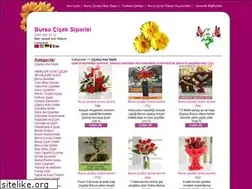 Sites similar to bursaciceksatisi.com