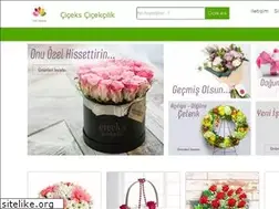 Sites similar to bursaciceksiparis.net