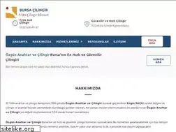 Sites similar to bursacilingir.com.tr