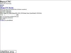 Sites similar to bursacnc.com
