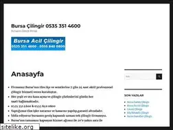 Sites similar to bursadacilingir.com