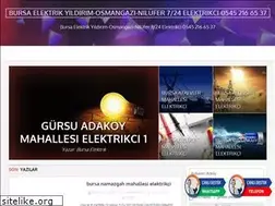 Sites similar to bursadaelektrik.com