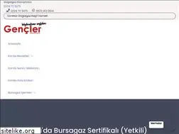 Sites similar to bursadogalgazfirmalari.com