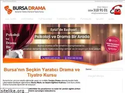 Sites similar to bursadrama.com