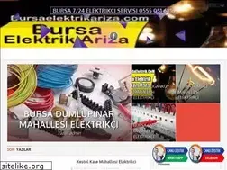 Sites similar to bursaelektrikariza.com