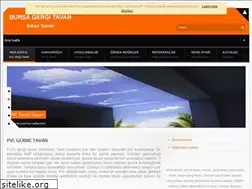 Sites similar to bursagergitavan.com