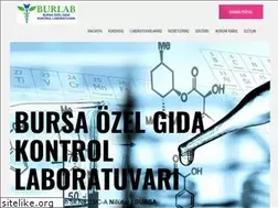 Sites similar to bursagidalab.com