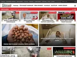 Sites similar to bursagiresunhavadis.com