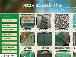 Sites similar to bursagolgelikfile.com