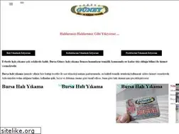 Sites similar to bursaguneyhaliyikama.com