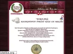 Sites similar to bursaipegi.com.tr