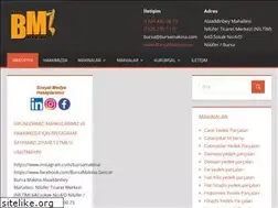Sites similar to bursaismakinalariyedekparcalari.com