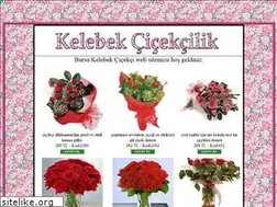 Sites similar to bursakelebekcicek.com