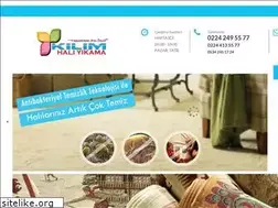 Sites similar to bursakilimhaliyikama.com