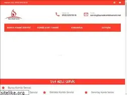 Sites similar to bursakombiservisi.net
