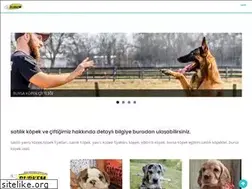 Sites similar to bursakopekegitim.com