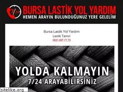 Sites similar to bursalastikyolyardim.com
