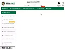 Sites similar to bursalevha.com