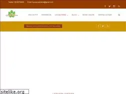 Sites similar to bursalokmacim.com