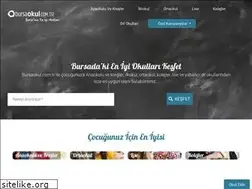 Sites similar to bursaokul.com.tr