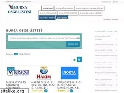 Sites similar to bursaosgblistesi.com