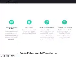Sites similar to bursapetekkombitemizleme.com