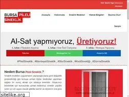 Sites similar to bursapilelisineklik.com.tr