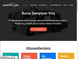 Sites similar to bursasampiyonvinc.com