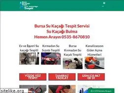 Sites similar to bursasukacagitespit.com