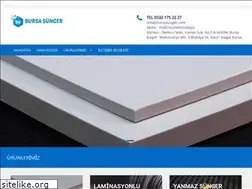 Sites similar to bursasunger.com