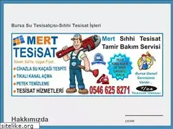 Sites similar to bursasutesisatcisi.wordpress.com