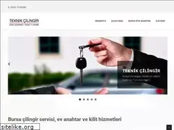 Sites similar to bursateknikcilingir.com