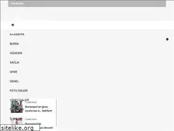Sites similar to bursayadairhersey.com